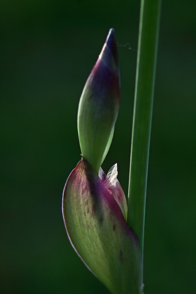 2015 05 10 HTP 000051693e